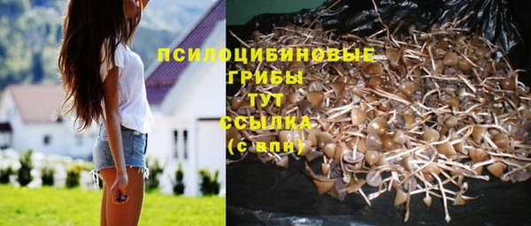 дурь Алзамай