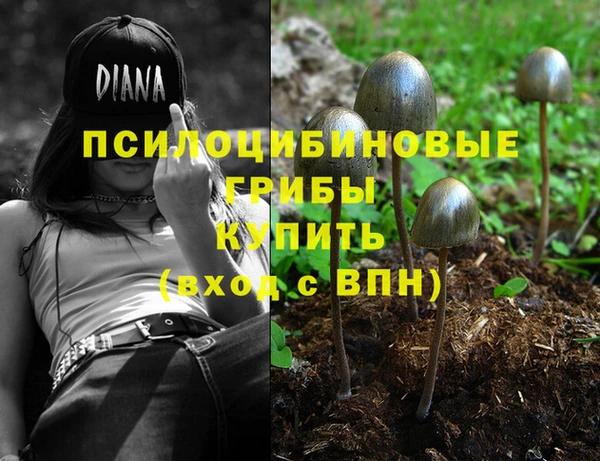 соль ск Алексин