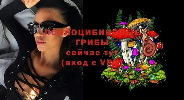 СК Алексеевка