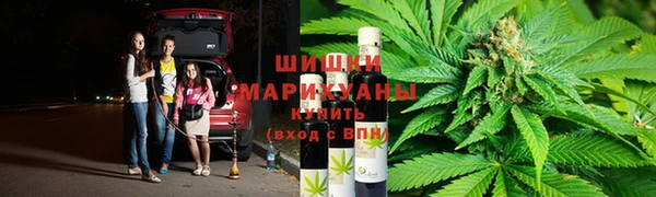 дурь Алзамай
