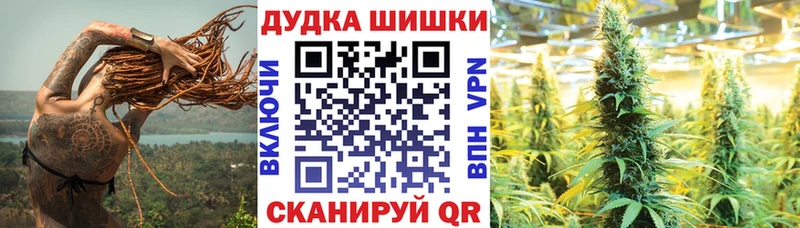 Канабис план  Новопавловск 